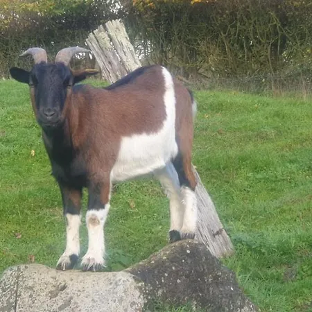 Domaine Du Martinaa 別荘