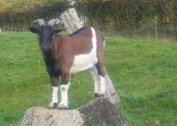 Domaine Du Martinaa Nyaraló