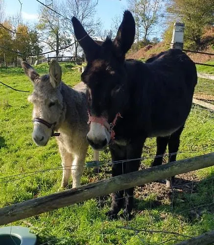 Domaine Du Martinaa Saint-Martin-de-la-Lieue